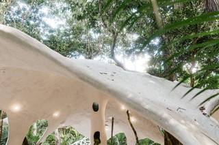 Cenote Elvira - 7