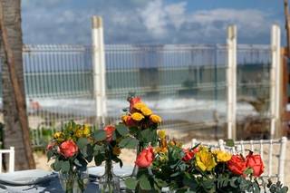 Concepto Rosa - 7
