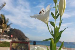 Hotel Camino Real Zaashila Huatulco - 6