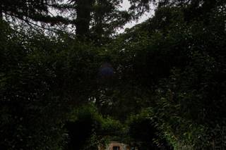 Hacienda Real de Velasco - 23