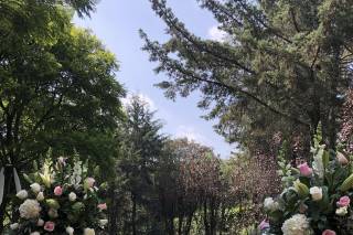 Jardín Siempreviva - 15