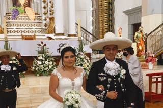 Lexander Florería - 23