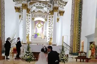 Lexander Florería - 24