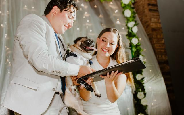La Fiesta de la Novia - 1