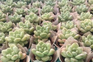 Blessing Moments - 8