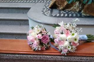 La Casa de Las Flores - 7