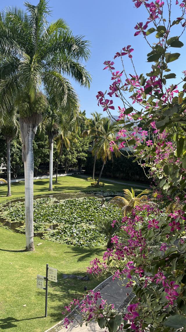 Quinta Rubelinas - 3
