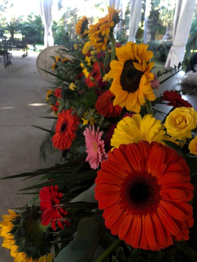 Golden Dreams Eventos - 2