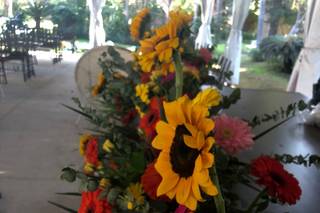 Golden Dreams Eventos - 9