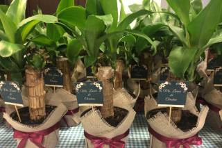 Blessing Moments - 5