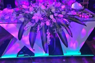 The Garden - 16