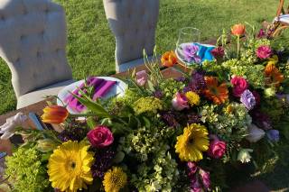 Bodas y Eventos Mascota - 5