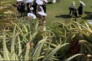 Tu Boda Chik - 6