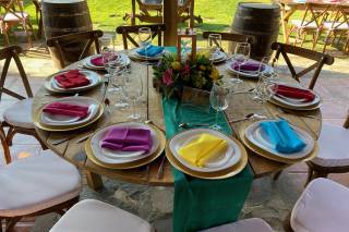 Bodas y Eventos Mascota - 7