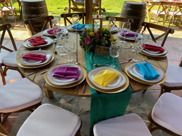 Bodas y Eventos Mascota - 4