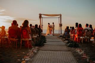 Papillon Making Dreams - 20