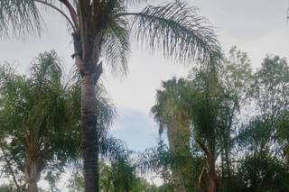 Quinta Sabinos - 6