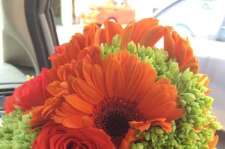 Flores Ilussion - 1