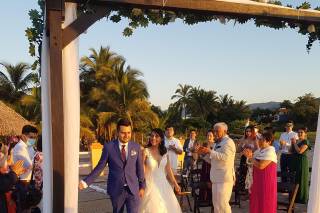 Papillon Making Dreams - 23