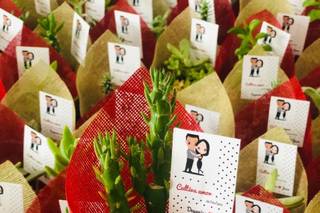 El Invernadero de las Suculentas - 4