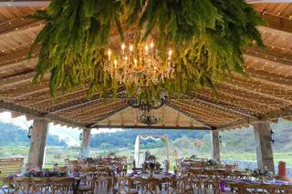 Bodas y Eventos Mascota - 8