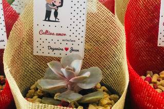 El Invernadero de las Suculentas - 6