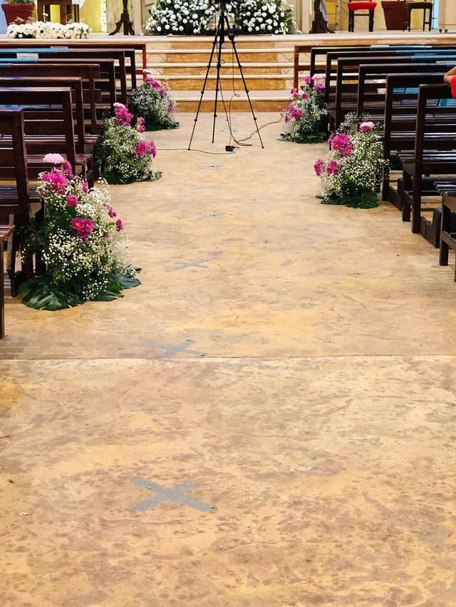 Amborella Eventos - 1