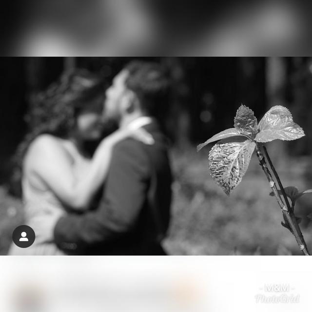 Filmaciones Avante - 3