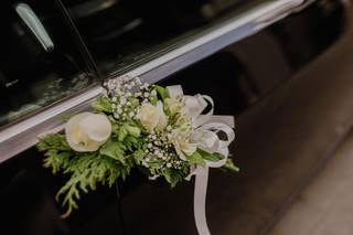 Autos para Boda Guadalajara - 5