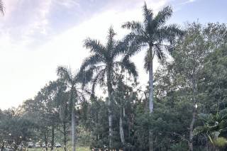 Hacienda Doña María - 7