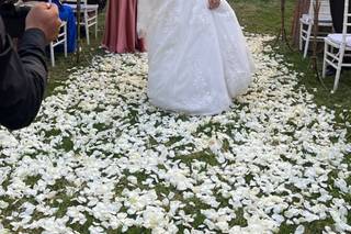 Flower Royal - 1