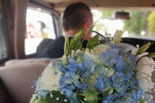 Blooming Dahlia - 18