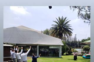 Blooming Dahlia - 19