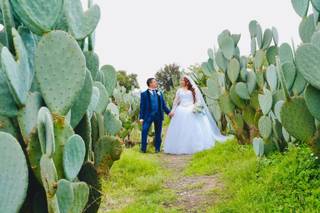 Blooming Dahlia - 20