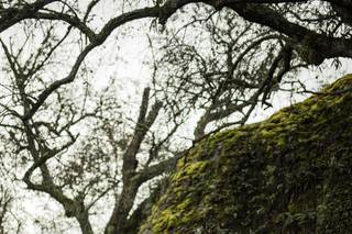 Rosy Garcia Photography - 23
