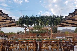 Viñedos La Toscana - 6