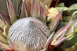 Margarita Carrillo - 10