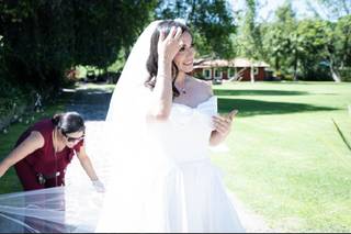 Regina's Celebration - 8