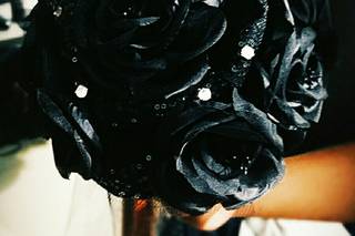 Diseños Roberto Originales - 3