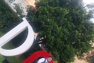 Decorative Letters - 12