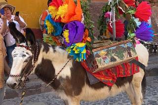 Angie Precoma Wedding & Event Planner - 9