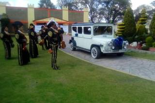 Limousines Franchely - 5