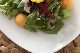 Adelaida Catering - 15