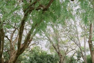 Wedding Memories - 13