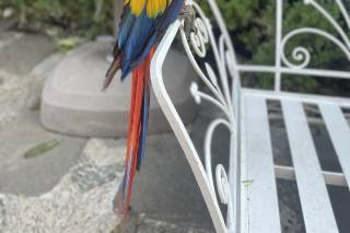 Josema Gorrosquieta Event Planner - 11