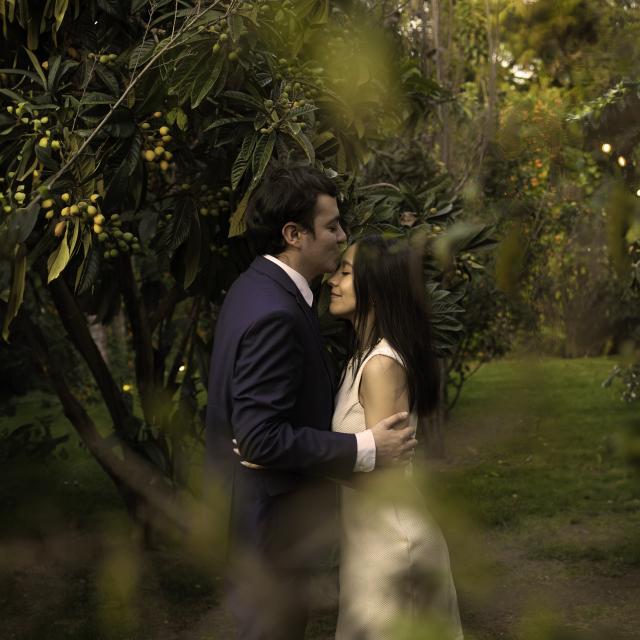 Mirilla Estudio Creativo - 1