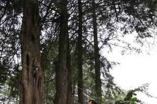 Jardín Rincón de las Estrellas - 11