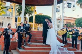 Susan's Bridal - 9
