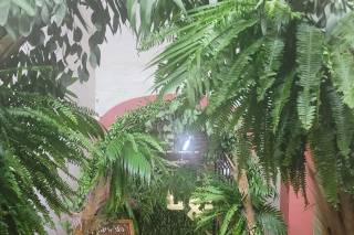 Bodas y Eventos Mascota - 18