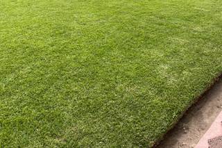 Quinta Lago Texcoco - 5
